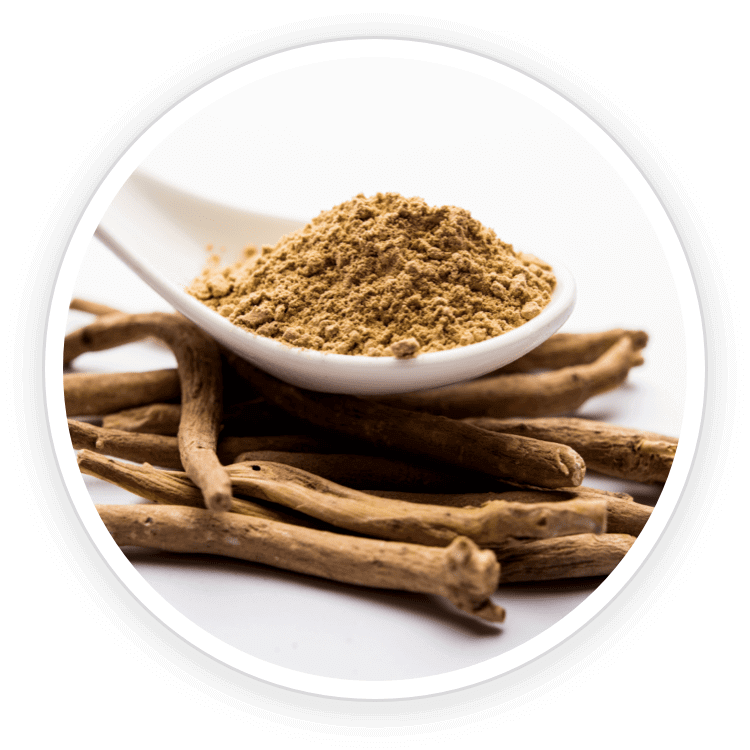 Quietum Plus Ingredients