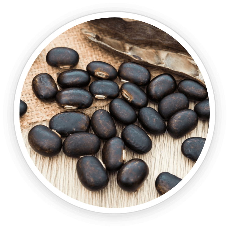 Quietum Plus Ingredients